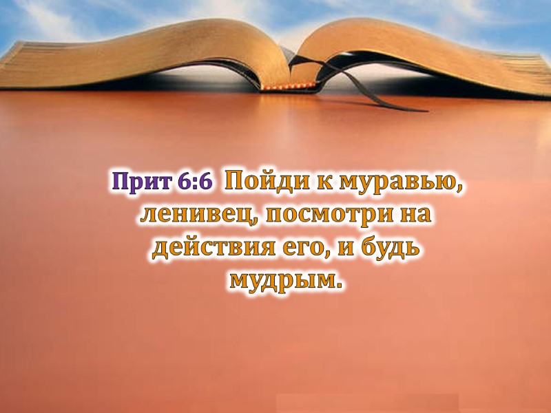 Прит 6:6  Пойди к муравью, ленивец, посмотри на действия его, и будь мудрым.